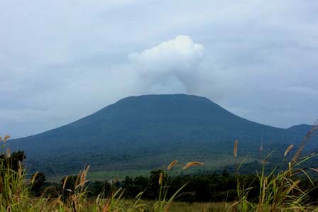 4 Days  Nyiragongo and Volcano gorillas