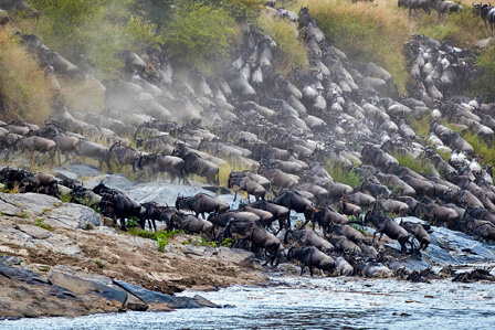 9 Days Serengeti Wildebeest Migration Safari