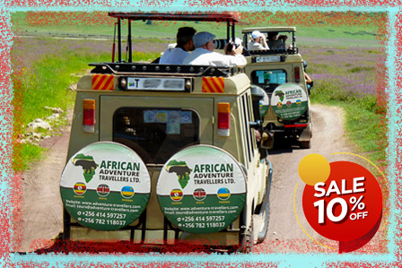 6 Days Tanzania Wildlife Safari