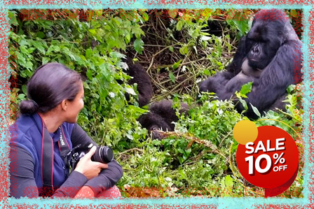 3 Days Gorilla Trekking Safari